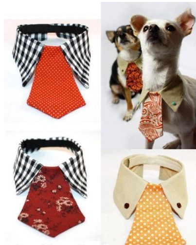 rumor cobertura Ciro Collar de perros con camisa y corbata | Manualidades Artesanas